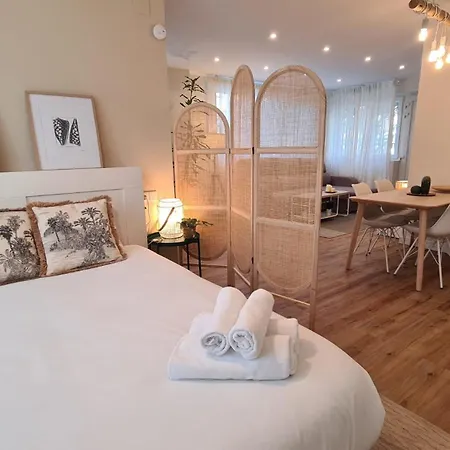 Loft En General Davila Con Parking *